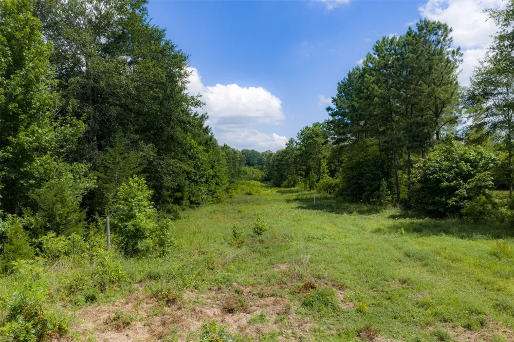 CR 3154 De Berry, TX 75639