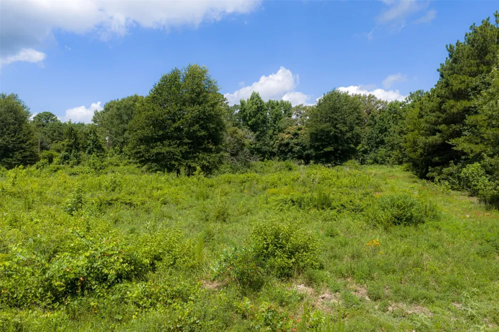 CR 3154 De Berry, TX 75639