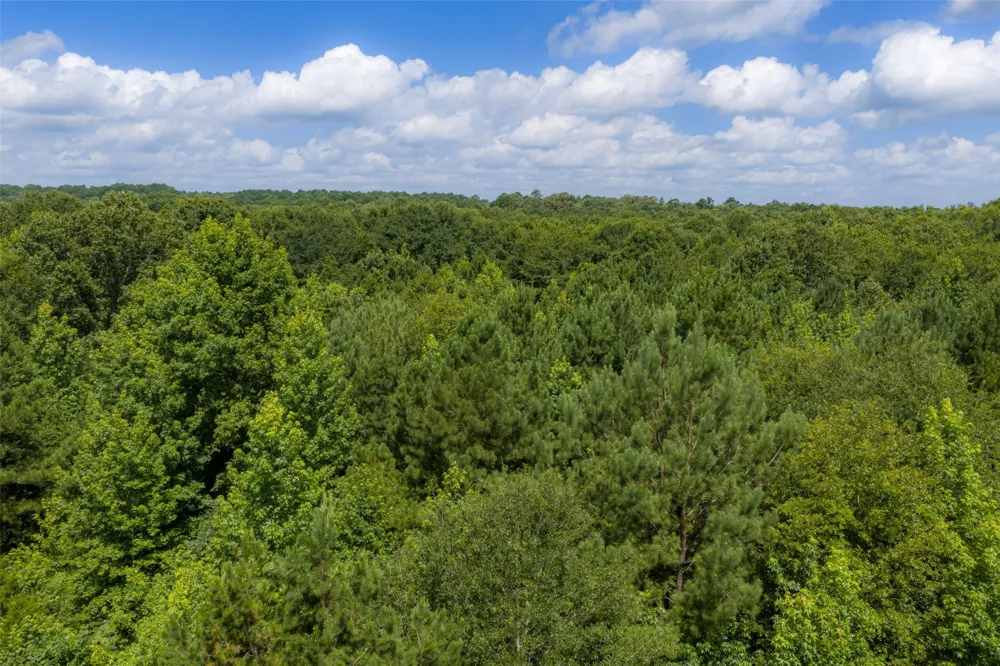 CR 3154 De Berry, TX 75639