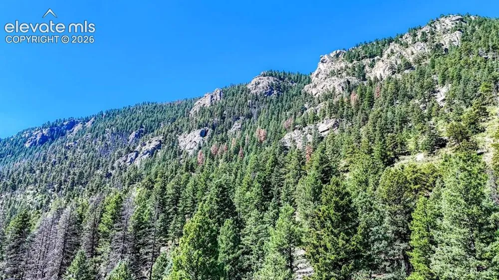6630 Spruce Avenue Green Mountain Falls, CO 80819