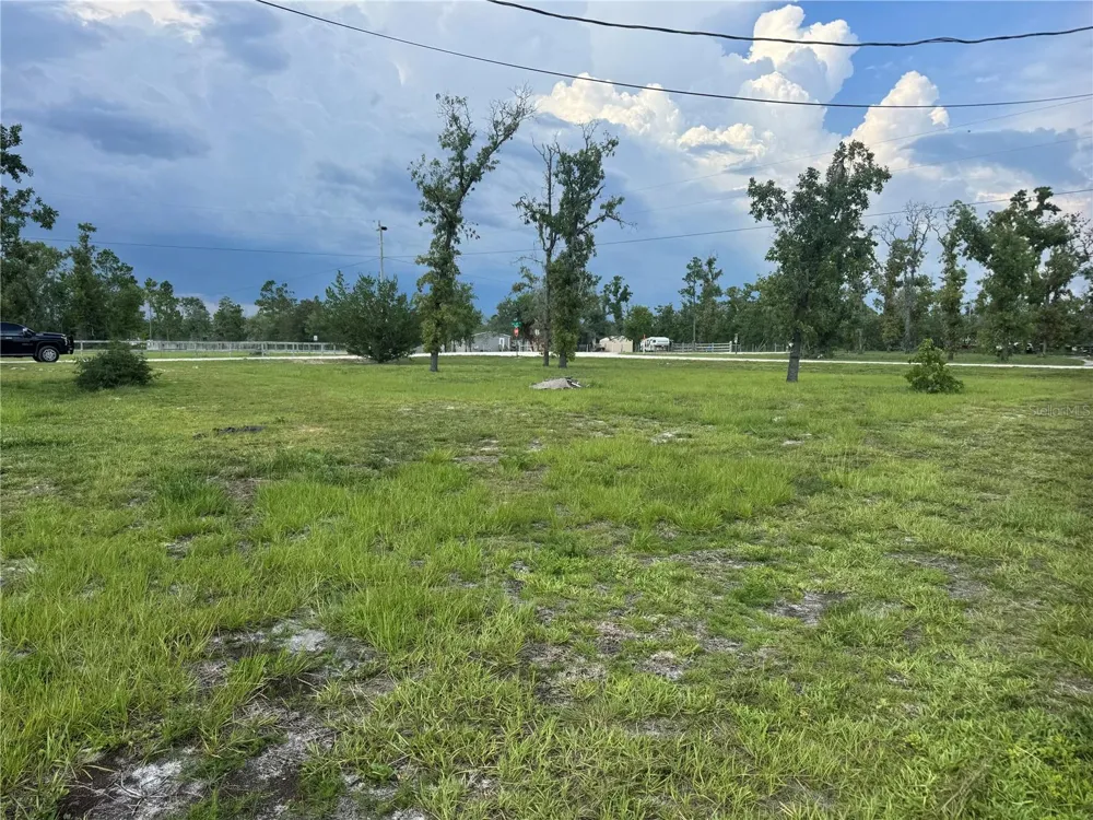 2699 LIVE OAK ROAD Perry, FL 32348
