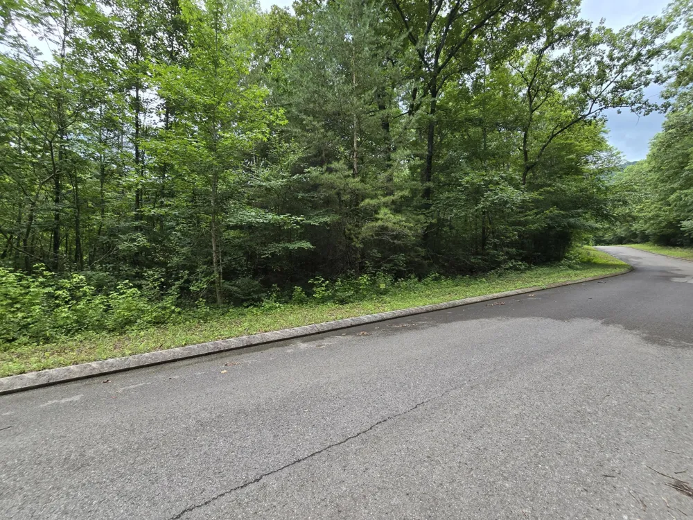 135 Lower Brow Road Dunlap, TN 37327