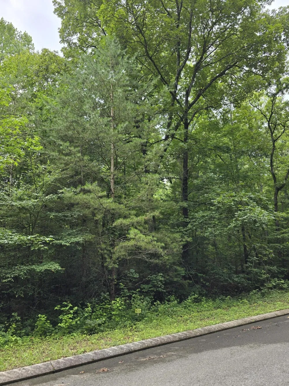 135 Lower Brow Road Dunlap, TN 37327