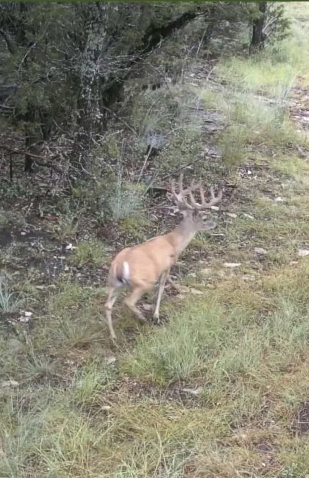Park Road Lampasas, TX 76550