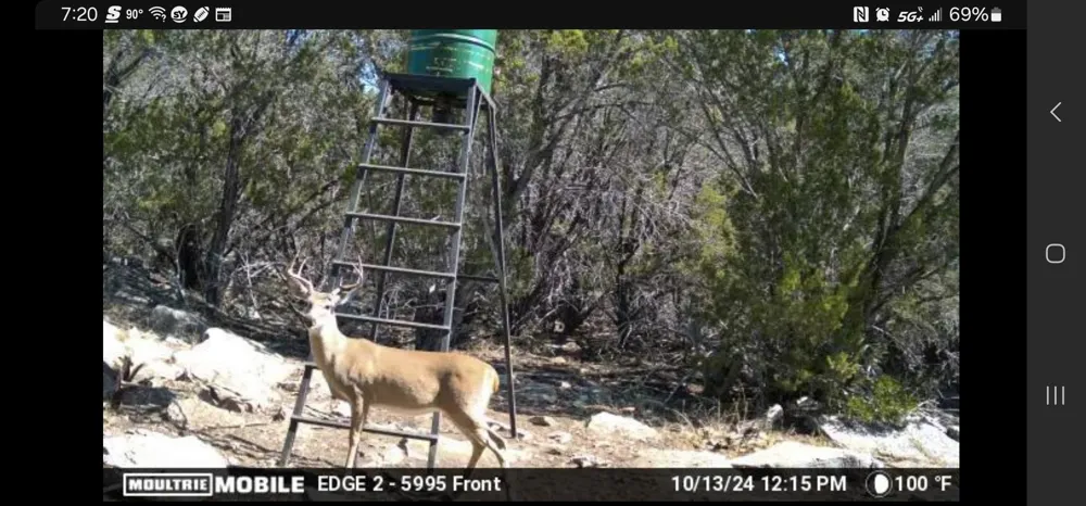 Park Road Lampasas, TX 76550