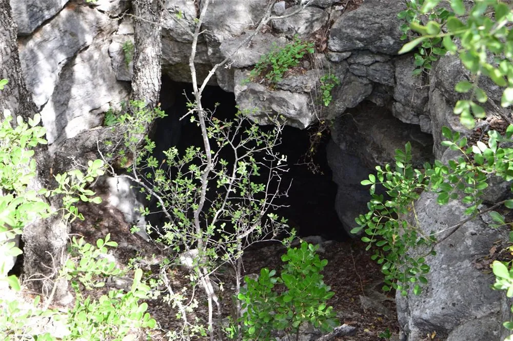 Park Road Lampasas, TX 76550