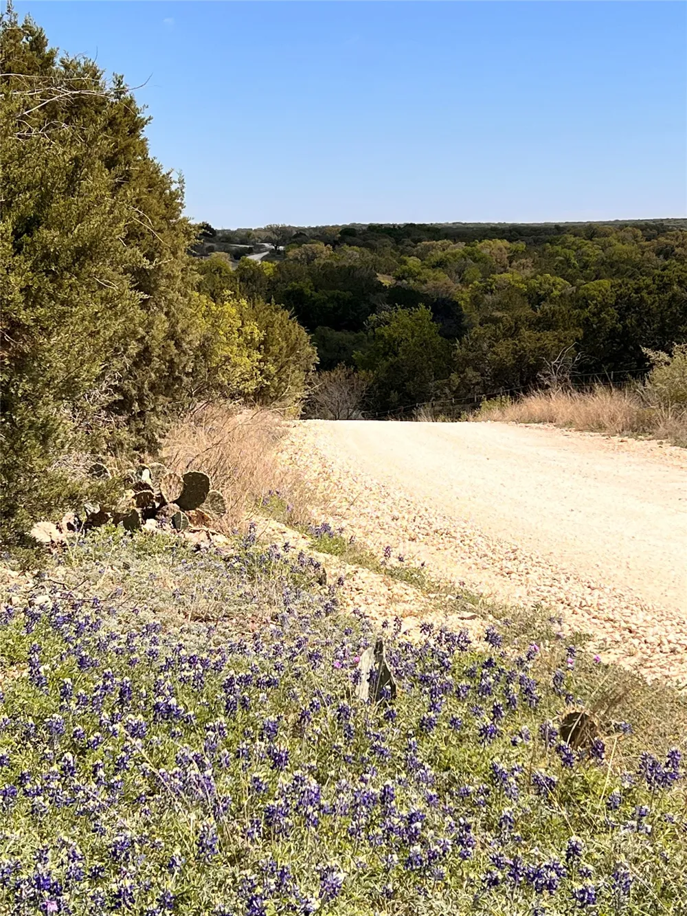 Park Road Lampasas, TX 76550