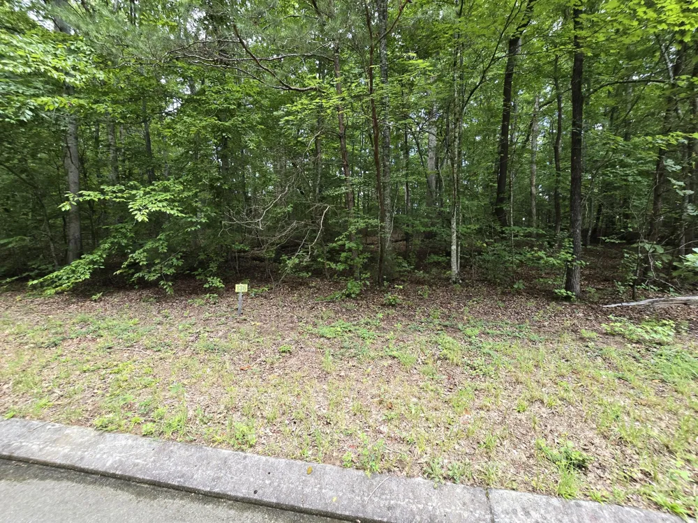 136 Lower Brow Road Dunlap, TN 37327
