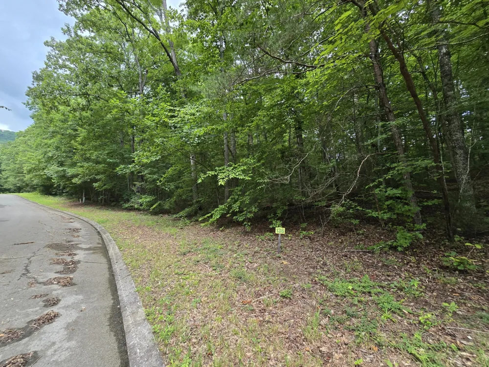 136 Lower Brow Road Dunlap, TN 37327