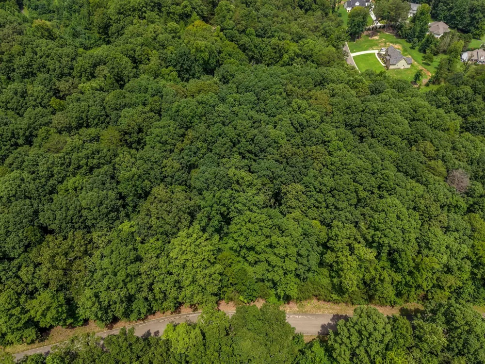 136 Lower Brow Road Dunlap, TN 37327