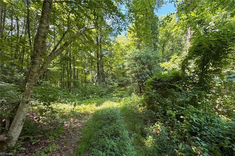 363 Good Hope Lane Thurmond, NC 28683