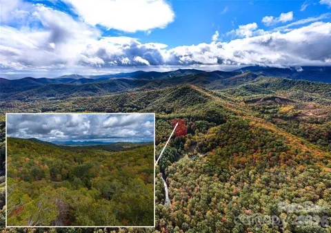 99999 Mills River Way #Lot 107
