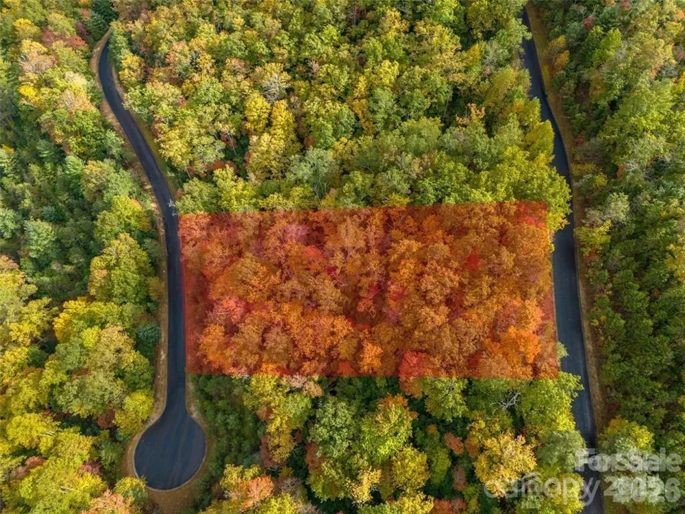 99999 Mills River Way #Lot 107 Horse Shoe, NC 28742