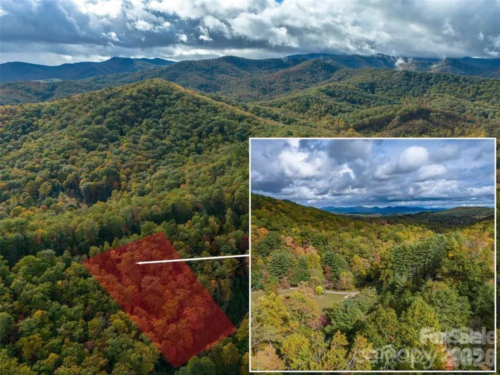 99999 Mills River Way #Lot 107 Horse Shoe, NC 28742