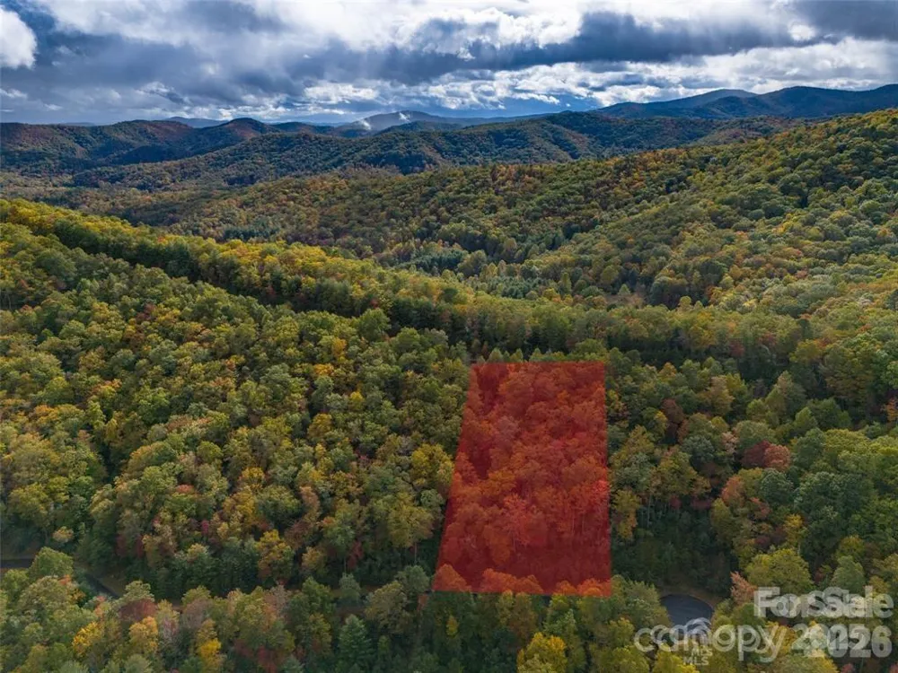 99999 Mills River Way #Lot 107 Horse Shoe, NC 28742
