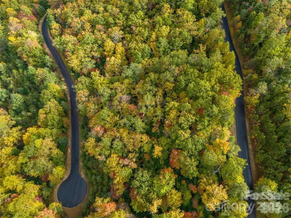 99999 Mills River Way #Lot 107 Horse Shoe, NC 28742