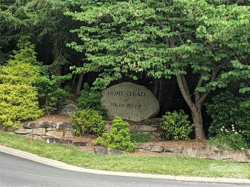 99999 Mills River Way #Lot 107 Horse Shoe, NC 28742