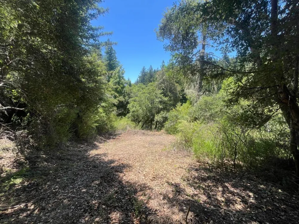 Deer Creek (Lot 21) Road Boulder Creek, CA 95006