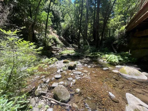 Deer Creek (Lot 21) Road