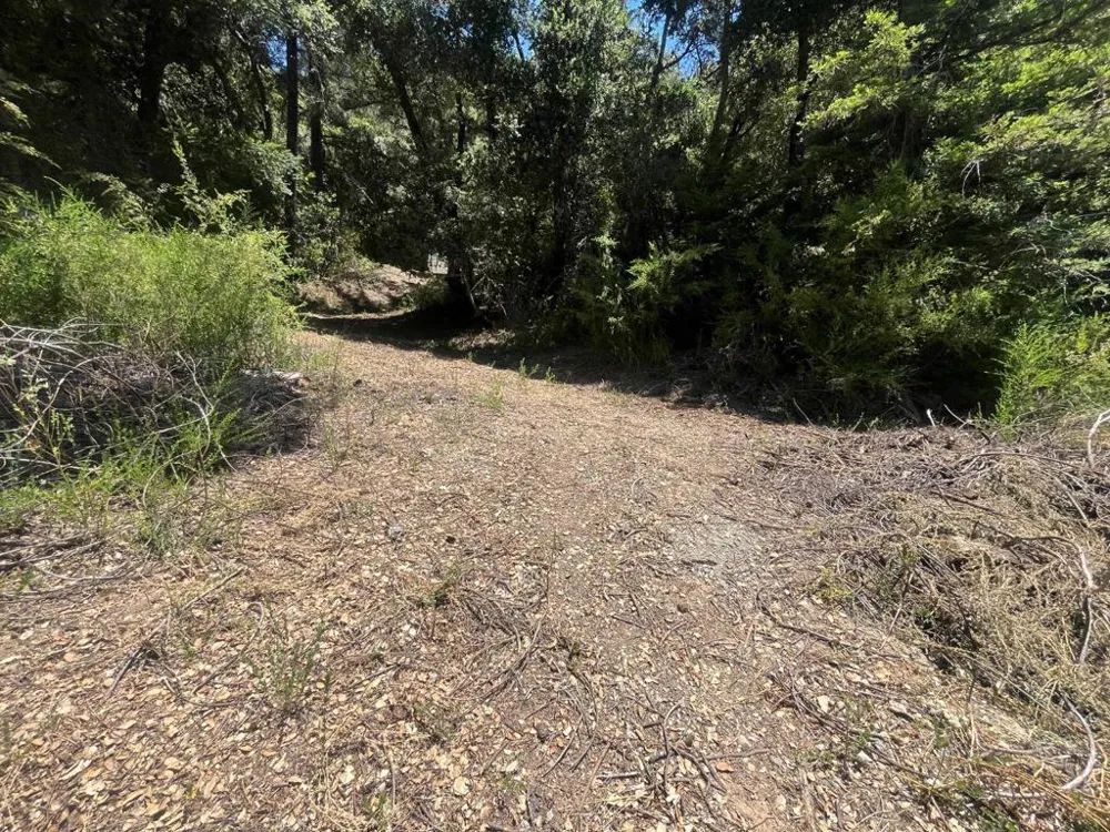 Deer Creek (Lot 21) Road Boulder Creek, CA 95006
