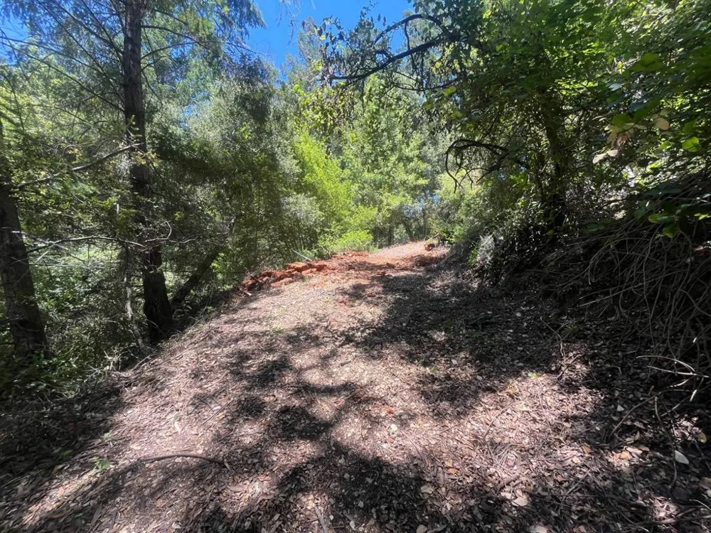 Deer Creek (Lot 21) Road Boulder Creek, CA 95006
