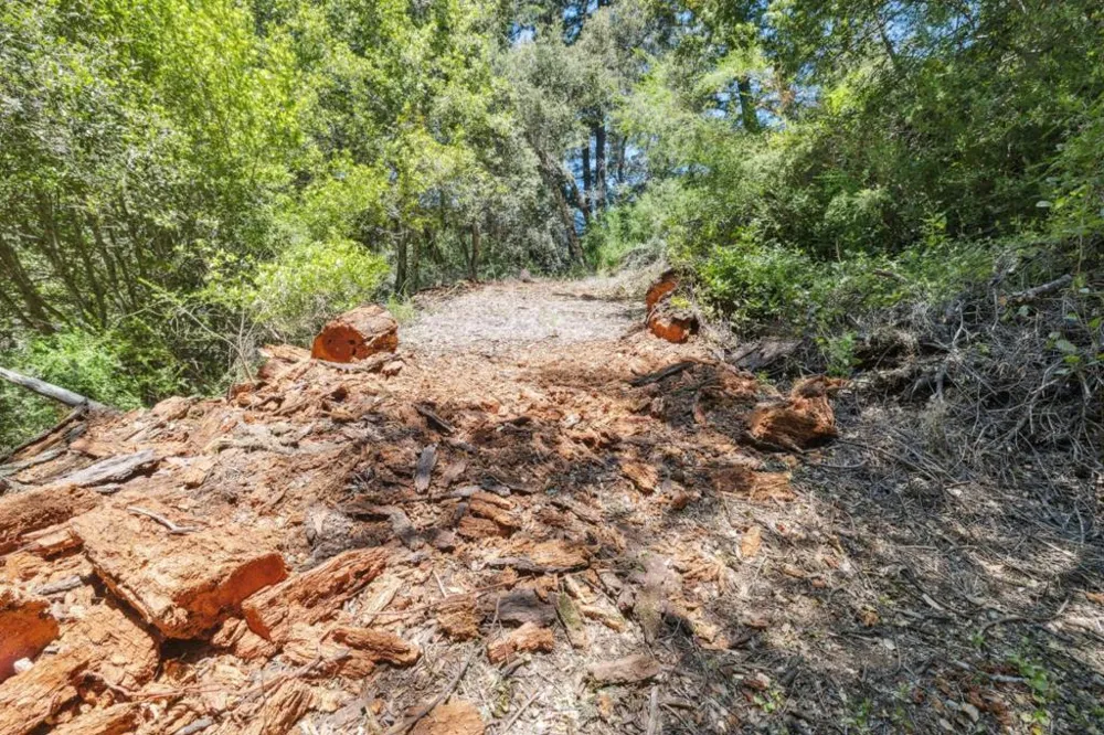 Deer Creek (Lot 21) Road Boulder Creek, CA 95006
