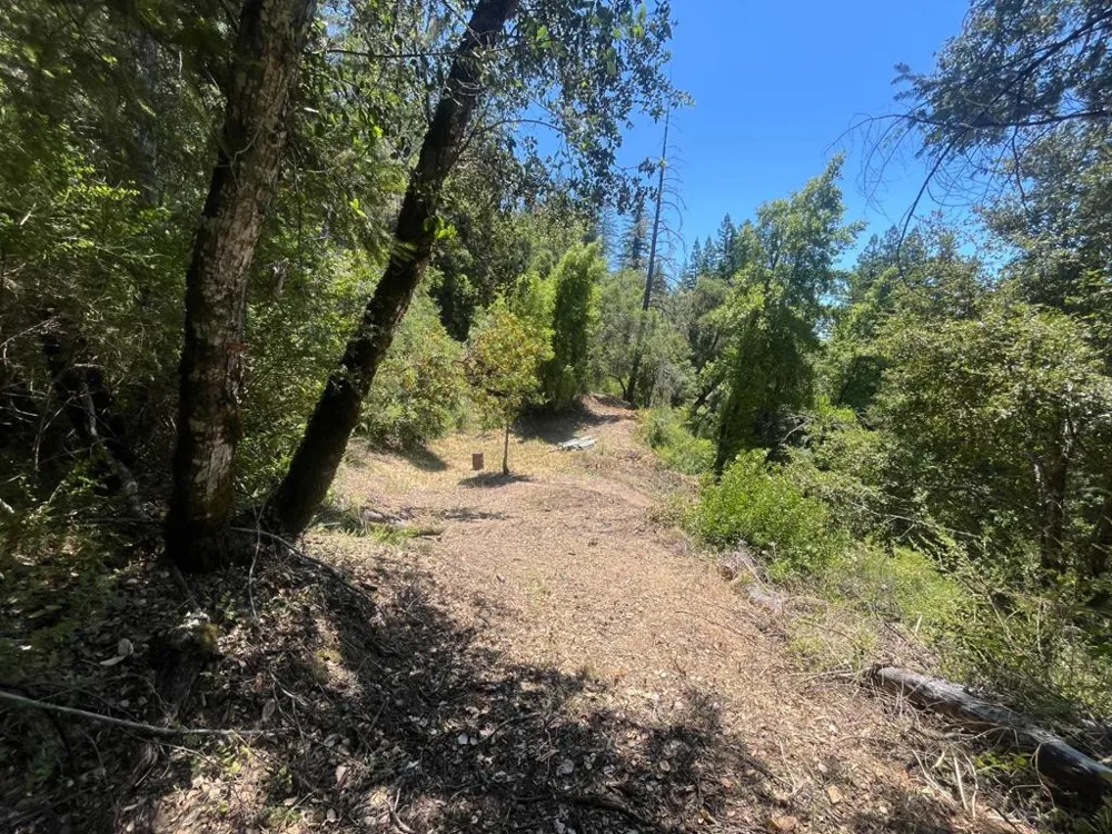 Deer Creek (Lot 21) Road Boulder Creek, CA 95006
