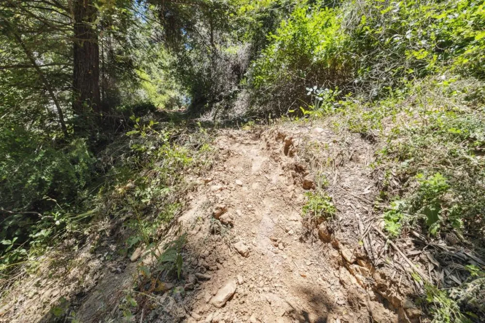 Deer Creek (Lot 21) Road Boulder Creek, CA 95006