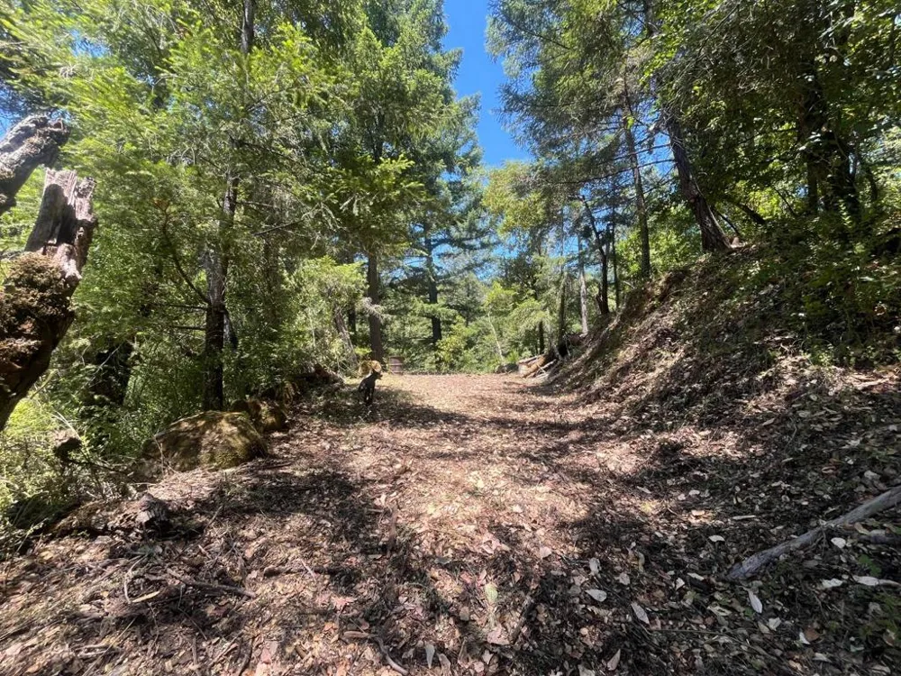 Deer Creek (Lot 21) Road Boulder Creek, CA 95006