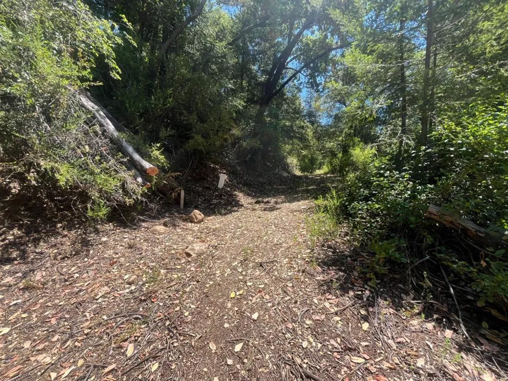 Deer Creek (Lot 21) Road Boulder Creek, CA 95006