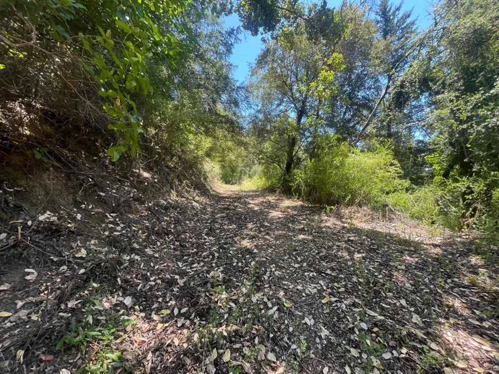 Deer Creek (Lot 21) Road Boulder Creek, CA 95006