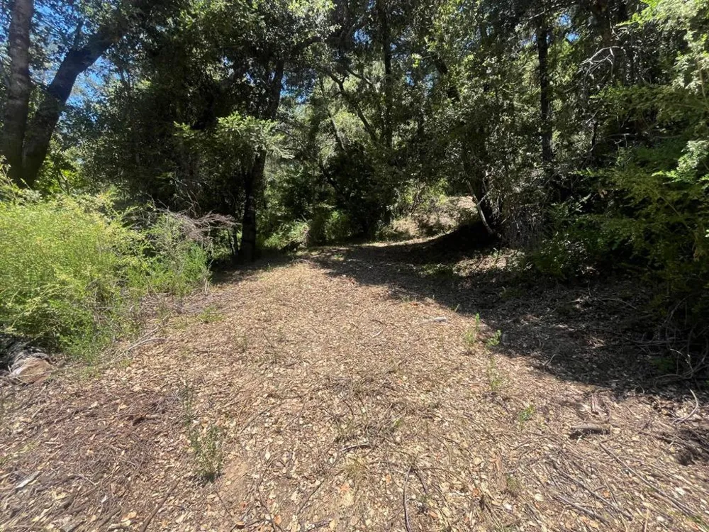 Deer Creek (Lot 21) Road Boulder Creek, CA 95006