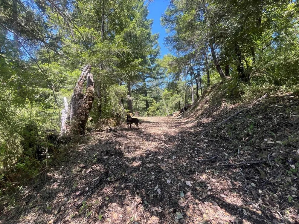Deer Creek (Lot 21) Road Boulder Creek, CA 95006