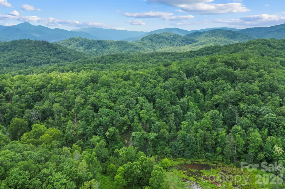 4415 Hwy 221 Highway Marion, NC 28752