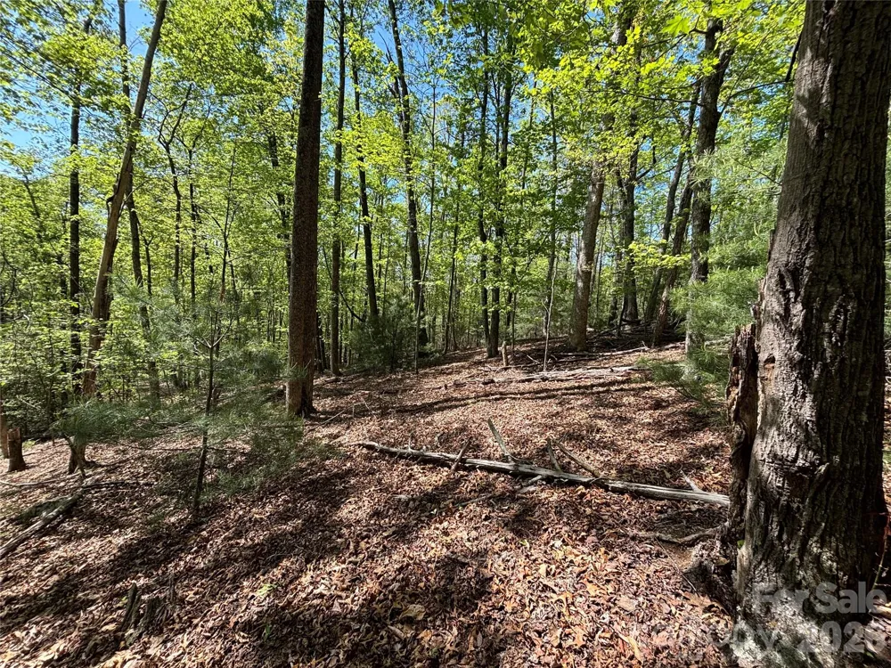 4415 Hwy 221 Highway Marion, NC 28752