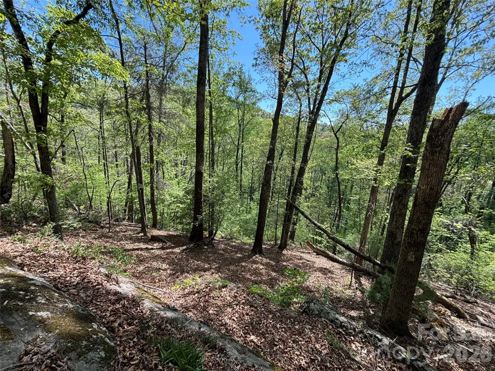 4415 Hwy 221 Highway Marion, NC 28752