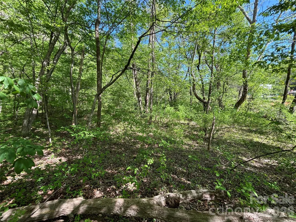 4415 Hwy 221 Highway Marion, NC 28752