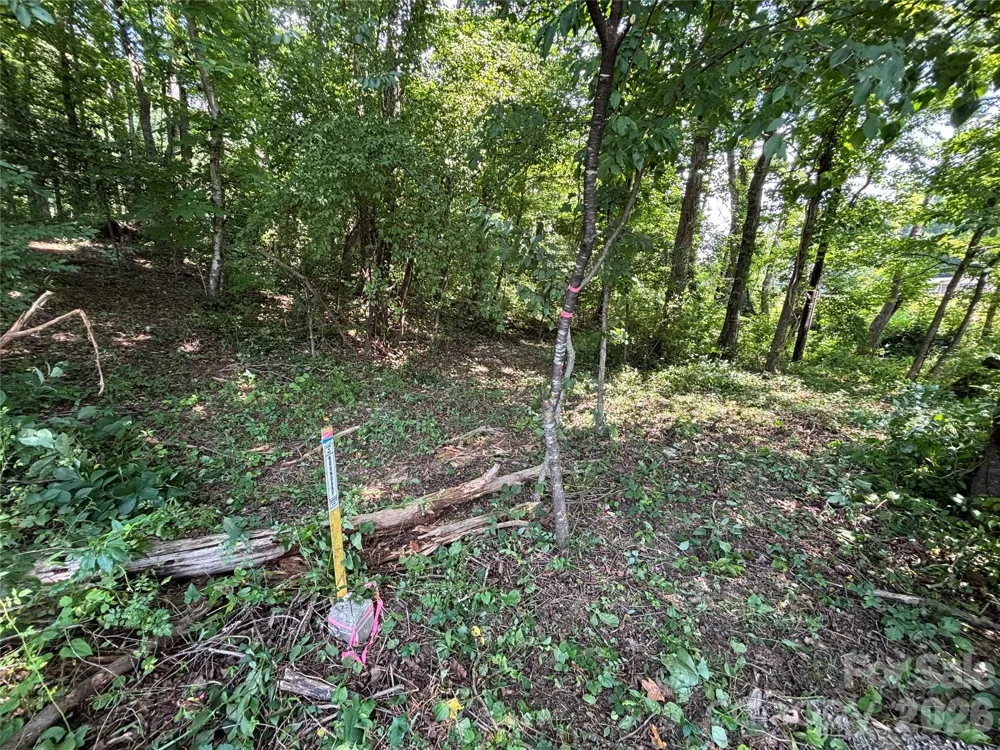 4415 Hwy 221 Highway Marion, NC 28752