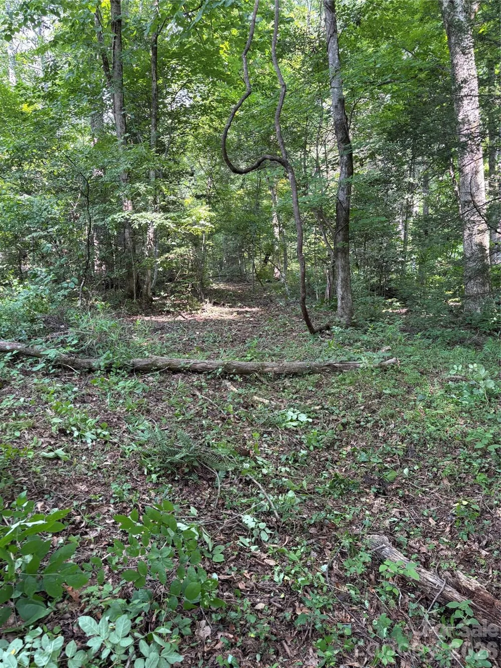 4415 Hwy 221 Highway Marion, NC 28752