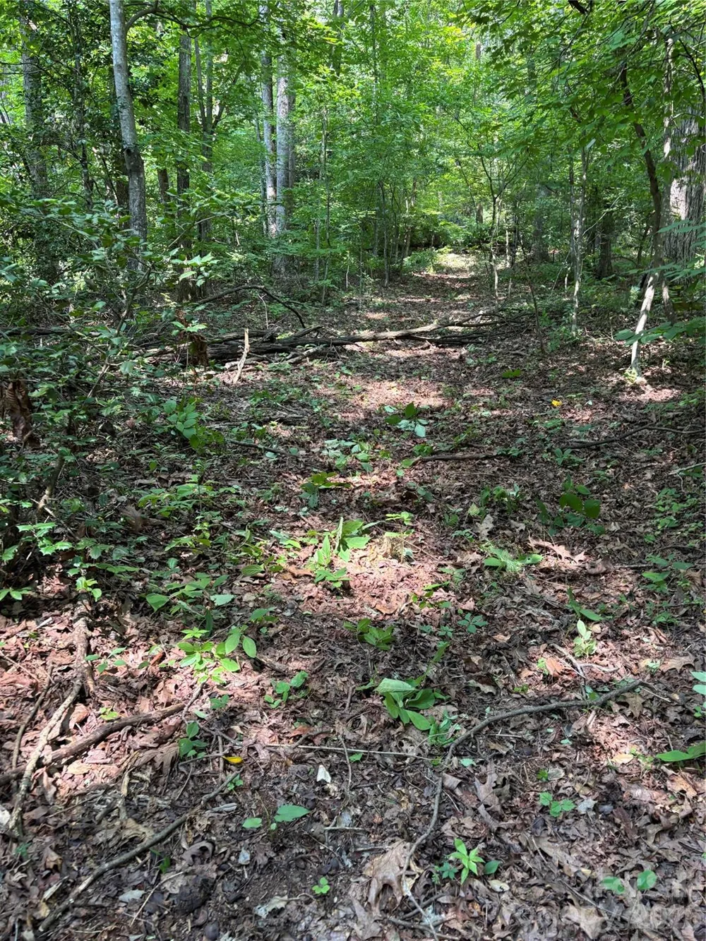 4415 Hwy 221 Highway Marion, NC 28752