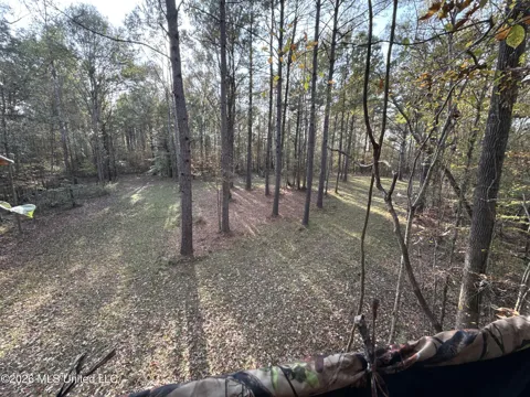 23 Pheasant Road
