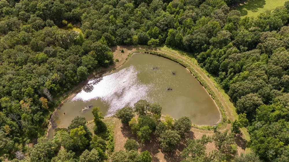 1522 Fm 17 Grand Saline, TX 75140
