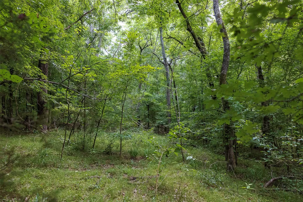 County Road 950 Cushing, TX 75760