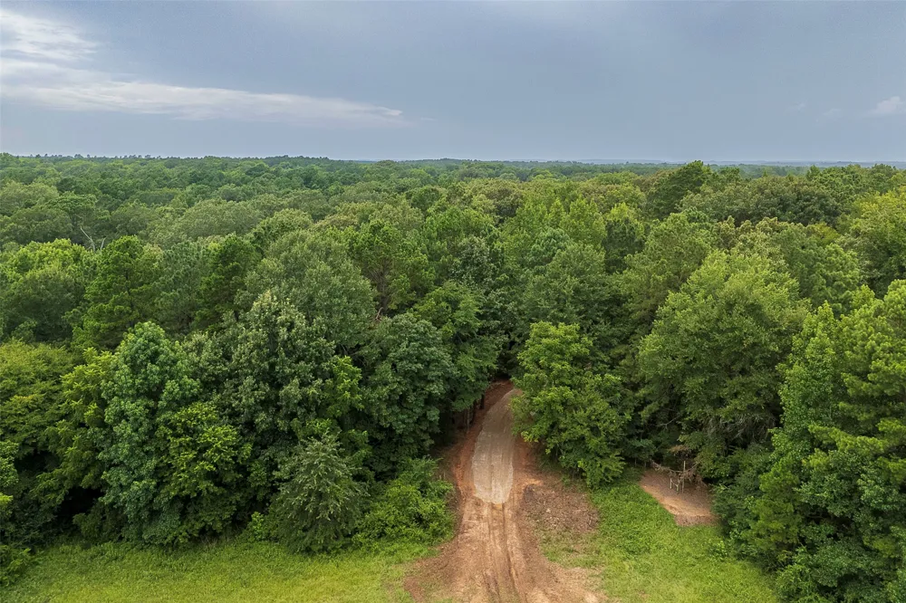 County Road 950 Cushing, TX 75760