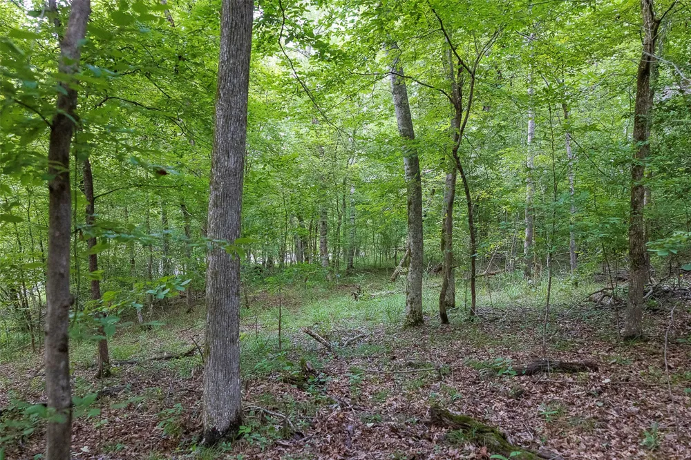 County Road 950 Cushing, TX 75760