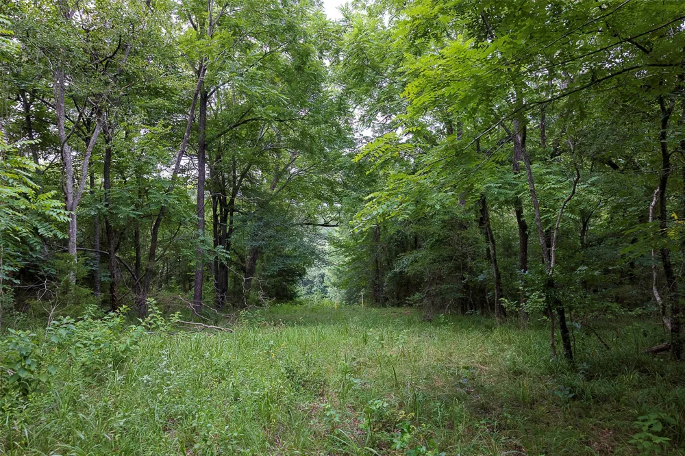 County Road 950 Cushing, TX 75760