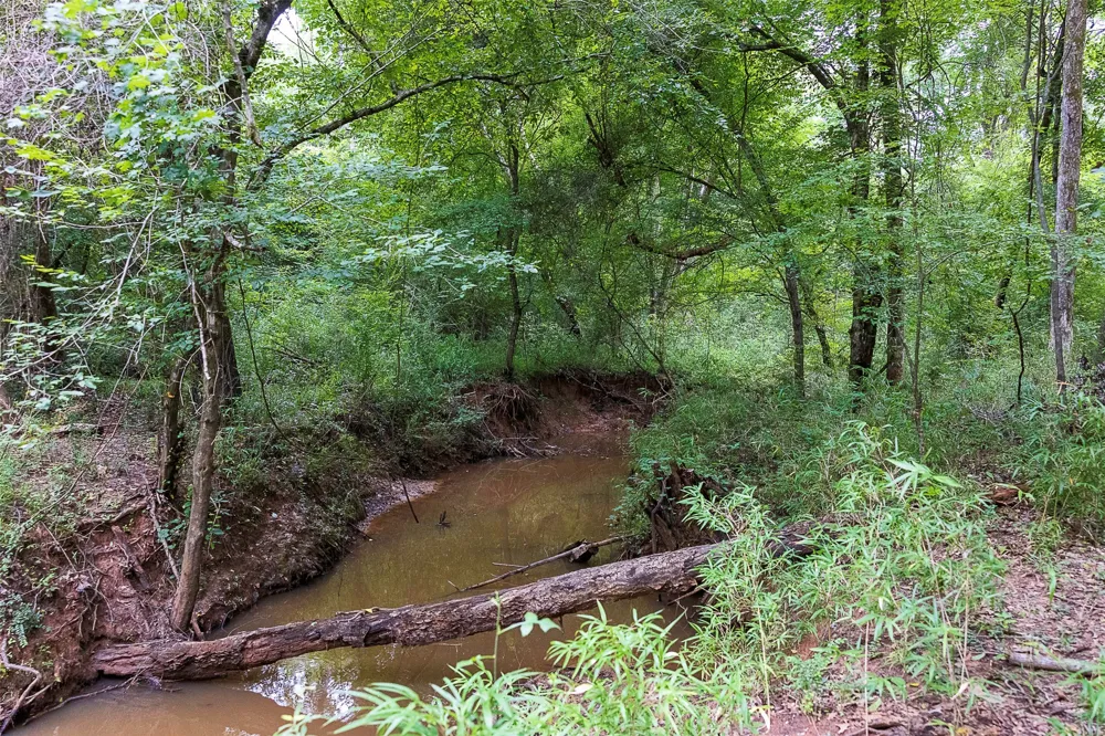 County Road 950 Cushing, TX 75760