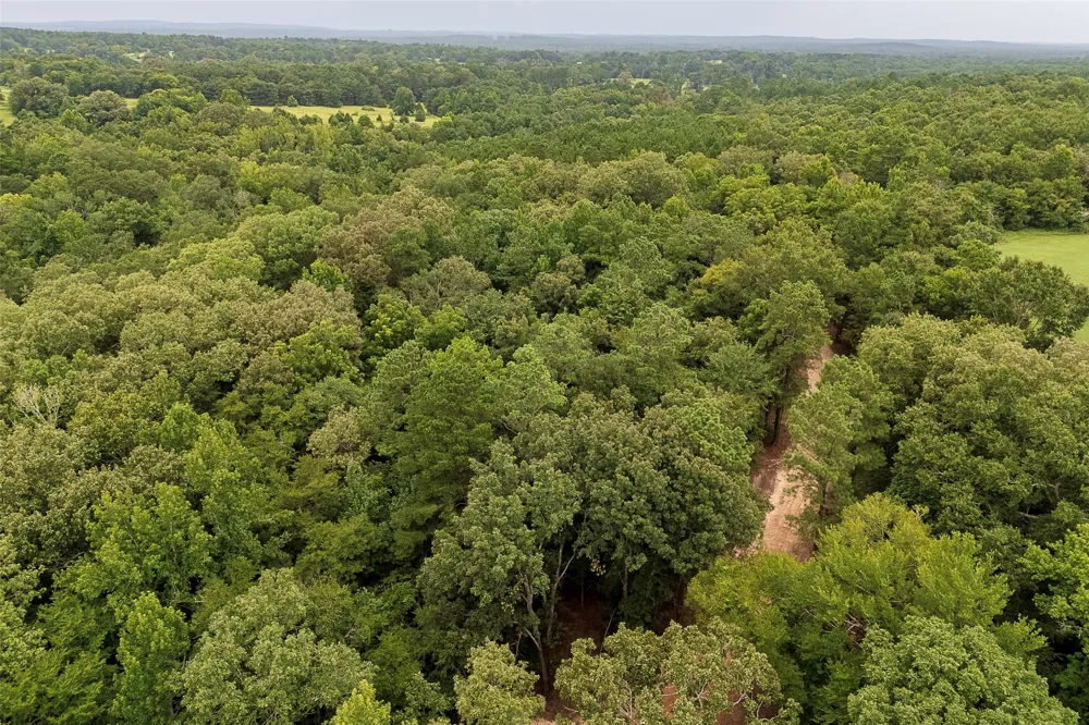 County Road 950 Cushing, TX 75760
