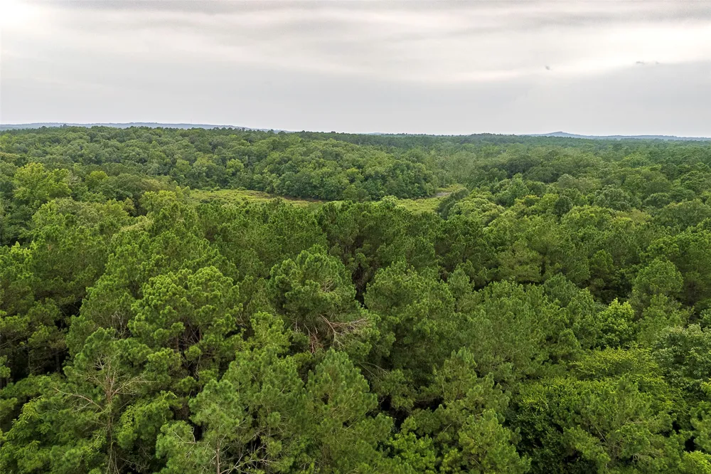 County Road 950 Cushing, TX 75760