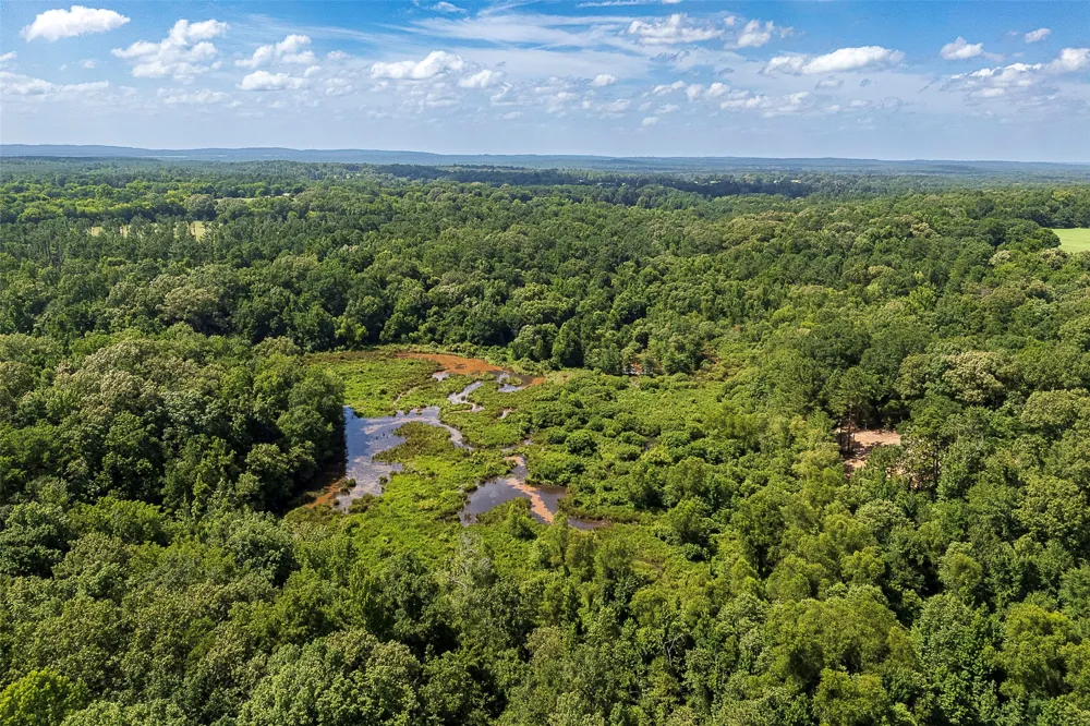 County Road 950 Cushing, TX 75760